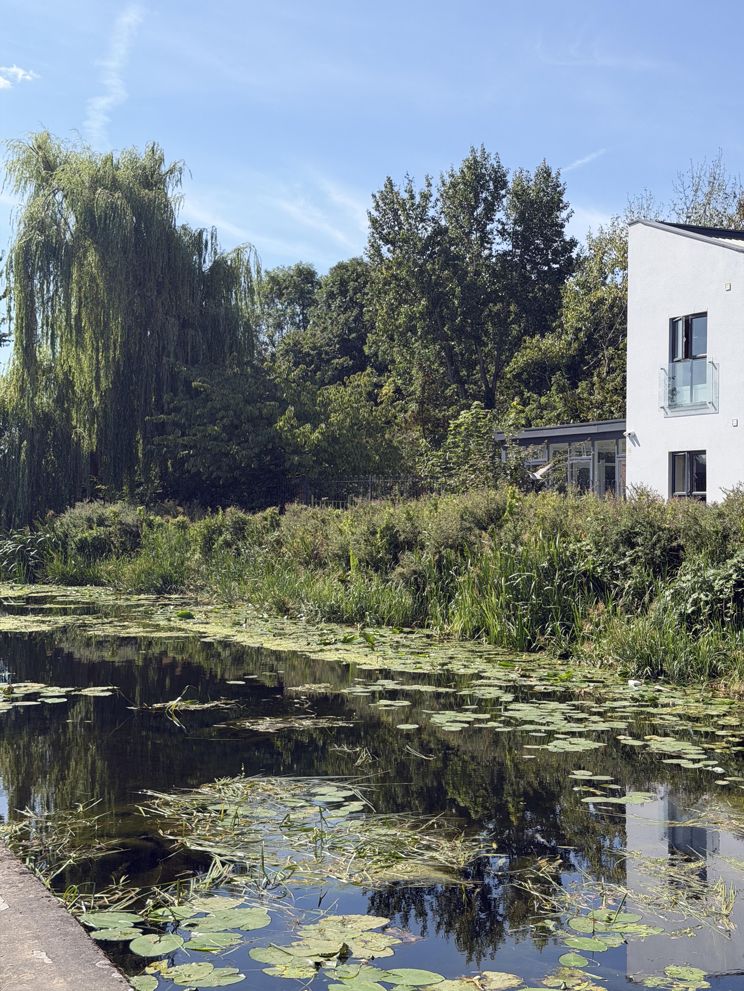 A serene canal surrounded by lush greenery, trees, and a modern white building under a bright blue sky.